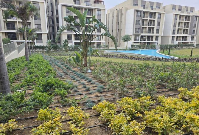 64891962 - Property Image 2