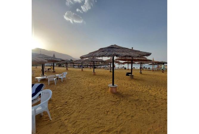 8507116 - صورة العقار 2