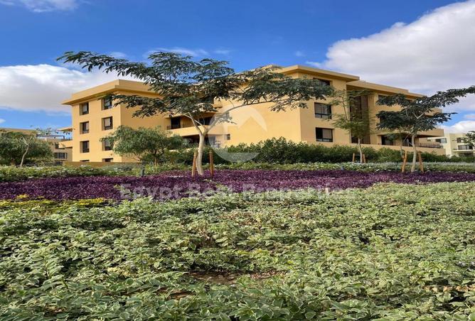 53721430 - الصورة الرئيسية للعقار