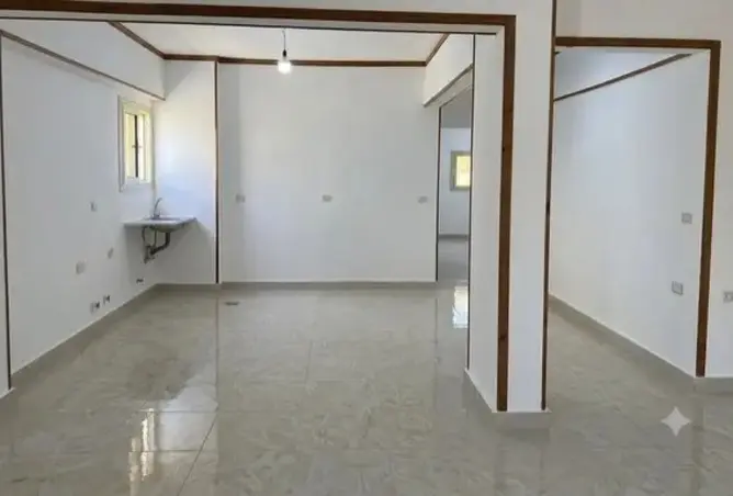 113523186 - صورة العقار 3