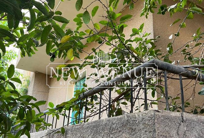 56745070 - Property Image 3