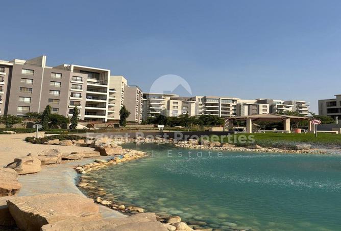 97150640 - صورة العقار 3