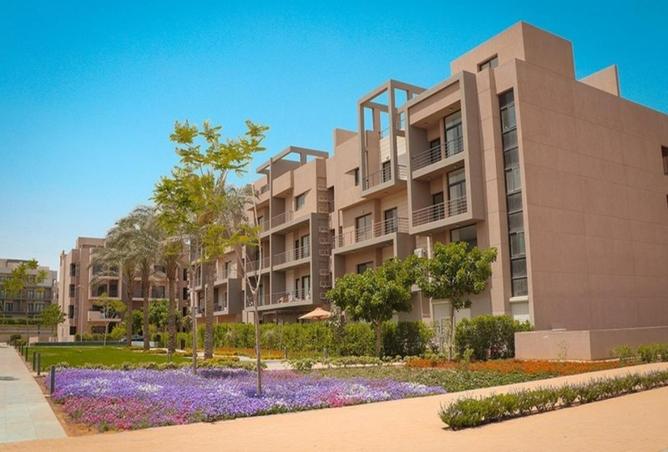 66695594 - Property Image 3