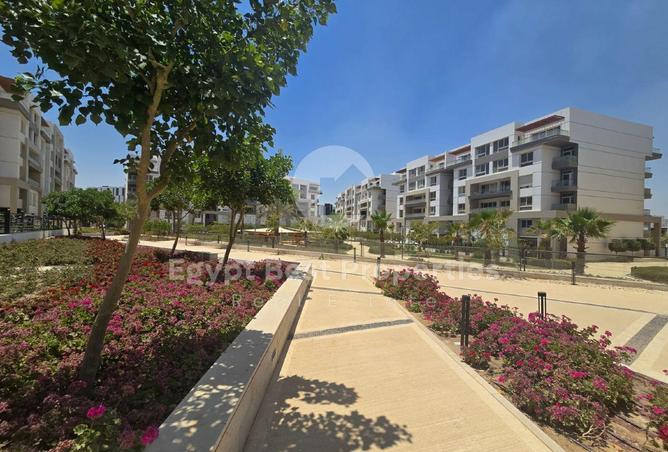 68275415 - Property Image 3