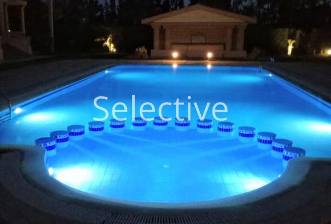 65913181 - صورة العقار 2