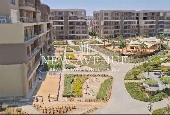 8693143 - صورة العقار 3