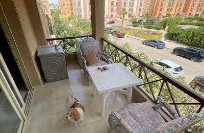 شقة - 1 - 1 للإيجار في دريم لاند - طريق الواحات - مدينة 6 أكتوبر - الجيزة شقة - 1 - 1 للإيجار في دريم لاند - طريق الواحات - مدينة 6 أكتوبر - الجيزة