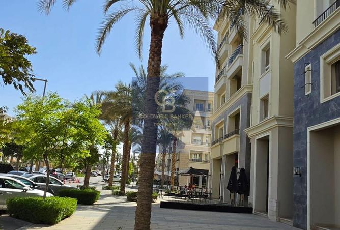 66955429 - Property Image 3