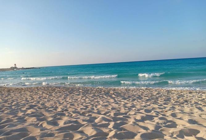 62163048 - صورة العقار 2