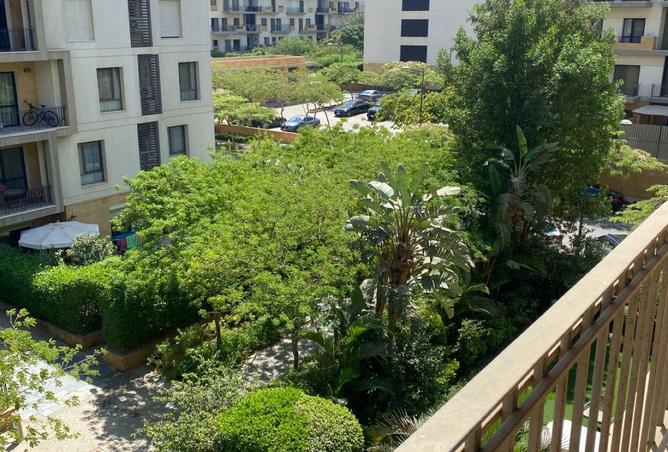 53227036 - Property Image 3