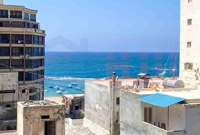 71391404 - صورة العقار 2