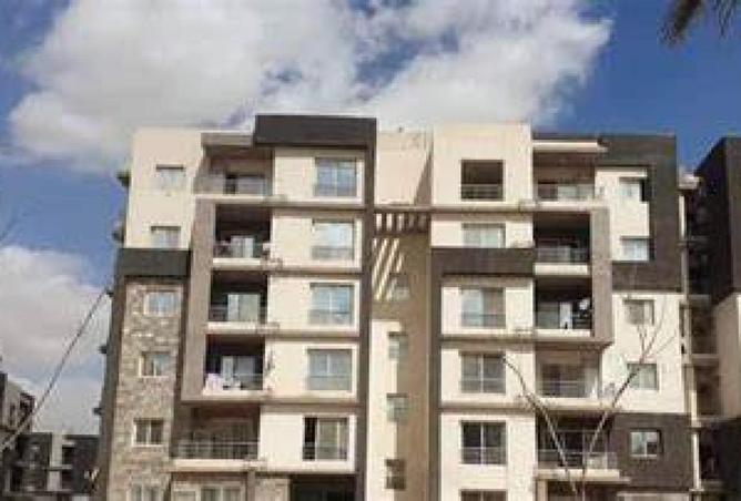 63381775 - Property Image 3