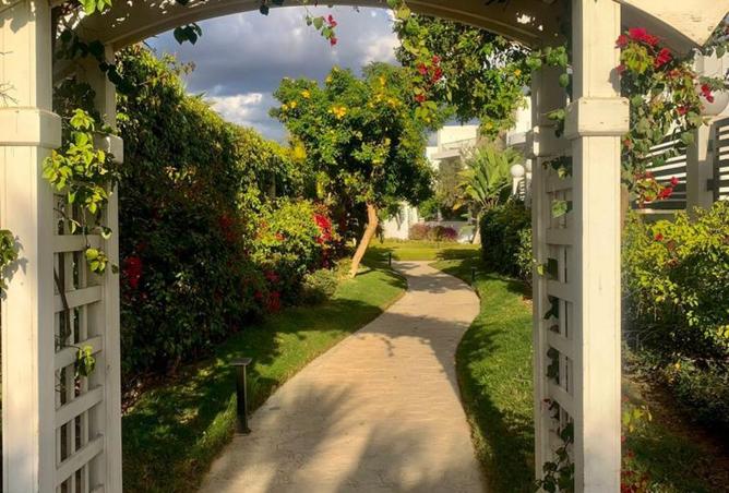 8450245 - Property Image 3