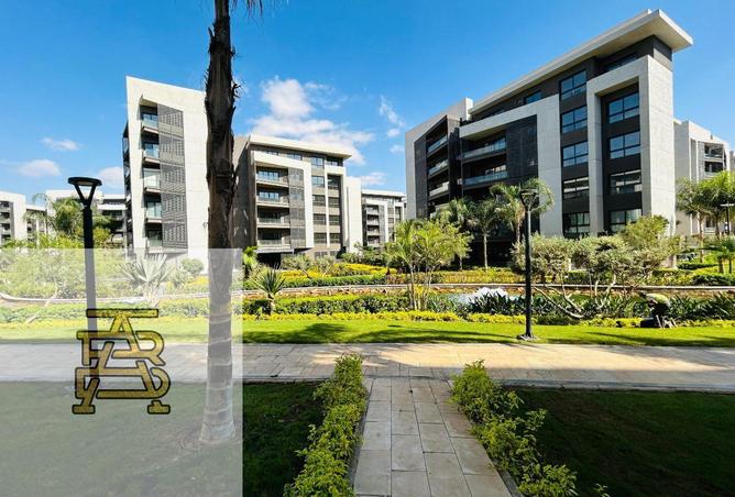 53980918 - صورة العقار 3