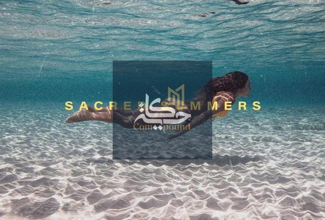 8706421 - صورة العقار 3