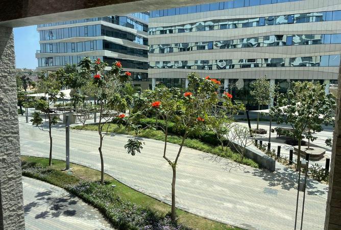 57241362 - صورة العقار 2