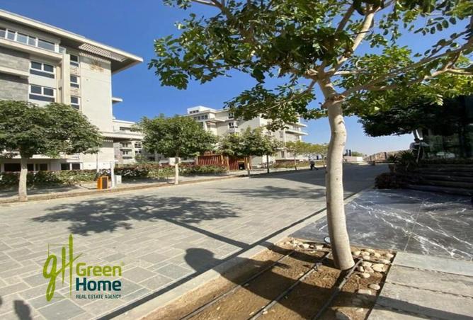 8394416 - Property Image 2