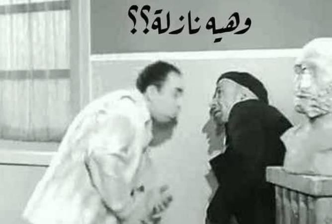 100932064 - صورة العقار 3