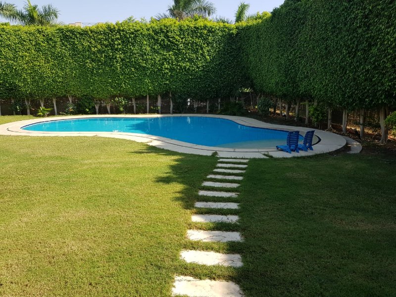3BR Apartment | Private Pool | Katameya Heights thumbnail