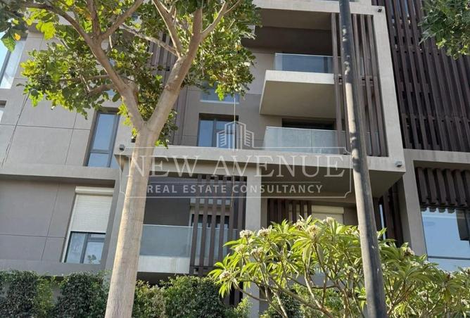 75403361 - Property Image 2