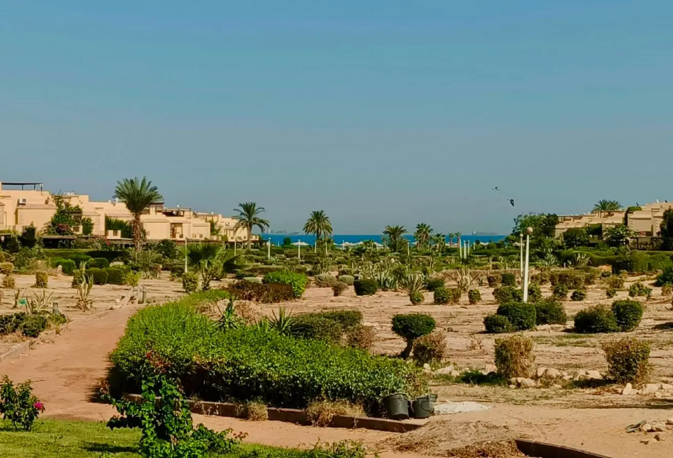 111039797 - الصورة الرئيسية للعقار