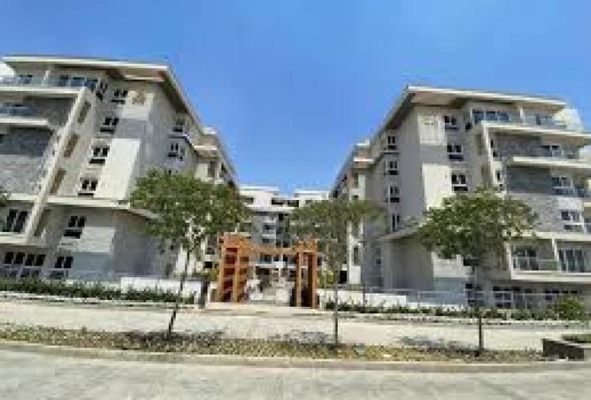 93543694 - Property Image 3