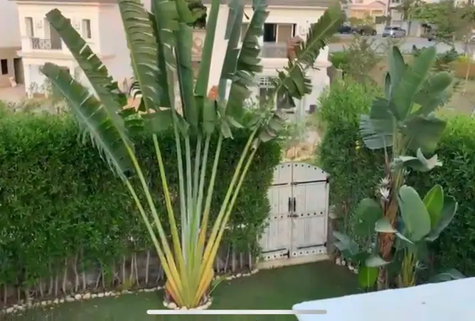 119277648 - صورة العقار 3