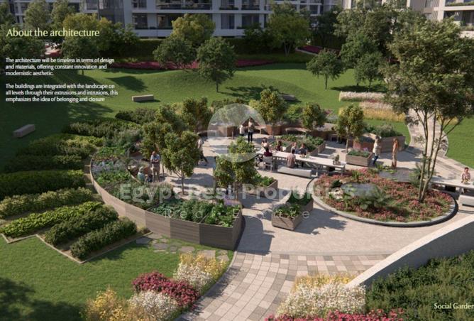 54507925 - Property Image 3