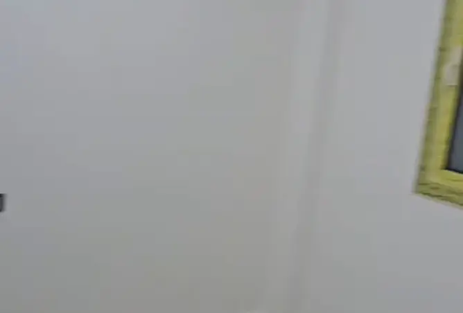 104327249 - Property Image 3