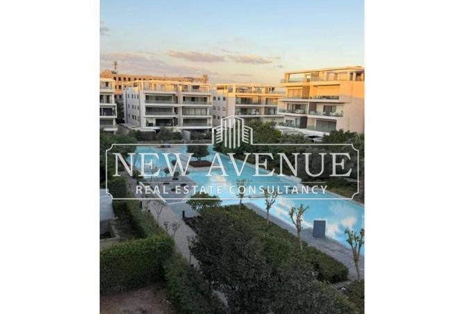 53723201 - صورة العقار 3