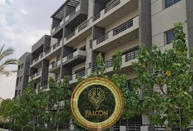 61924788 - Property Image 3