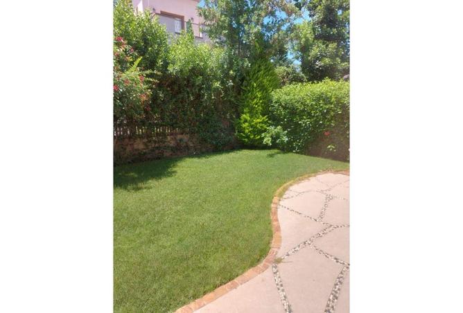 74860120 - صورة العقار 3