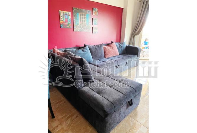 8434120 - صورة العقار 3