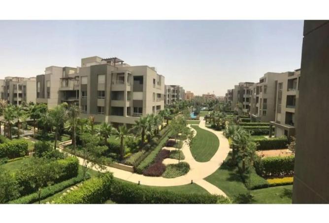 56253600 - Property Image 3