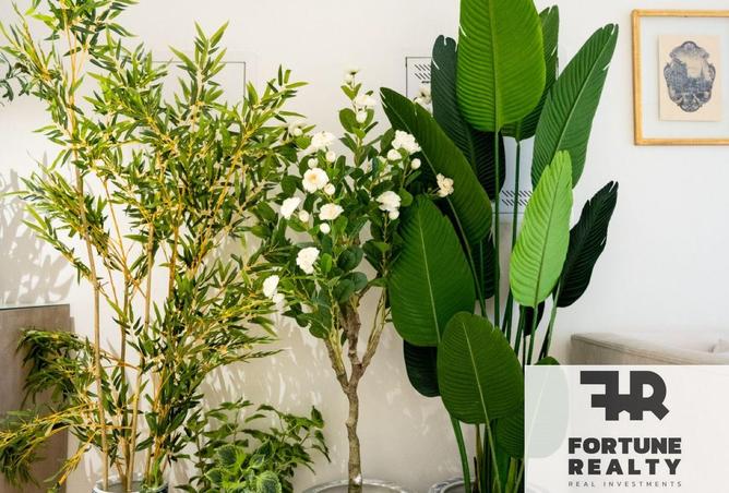 8508271 - صورة العقار 3