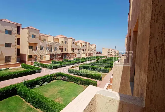 109348842 - Property Image 3