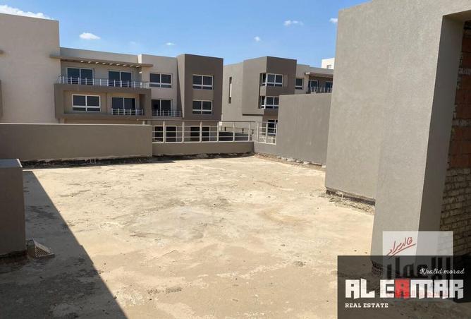 64131525 - Property Image 3