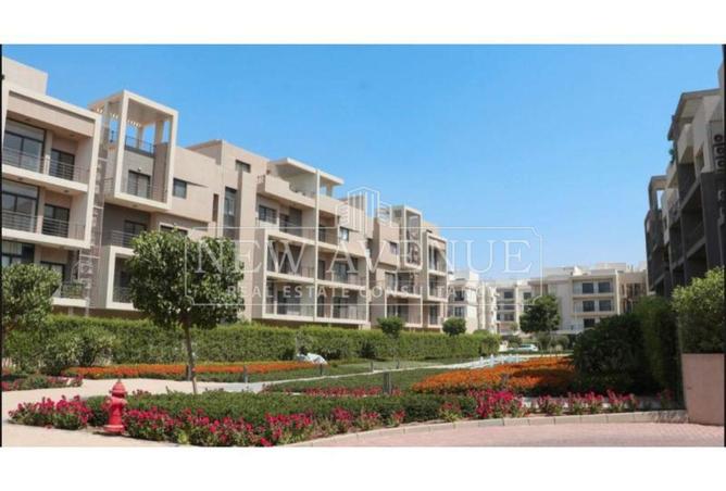 74315295 - Property Image 3