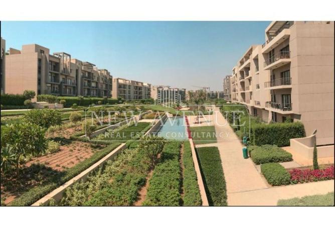 74315295 - Property Main Image