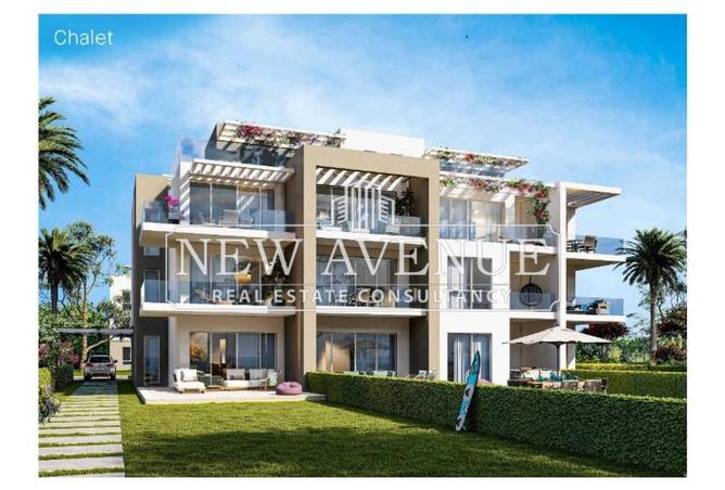 66703501 - الصورة الرئيسية للعقار