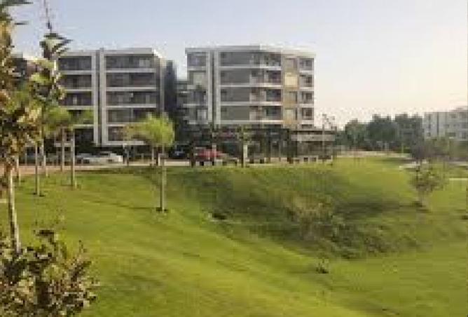 82088767 - Property Image 3