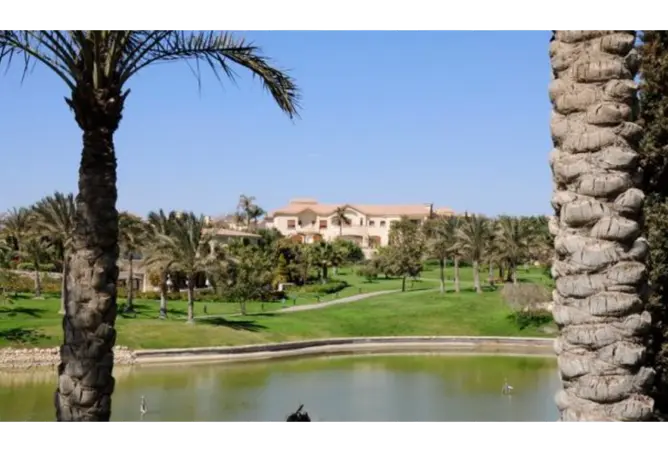 100641140 - صورة العقار 3