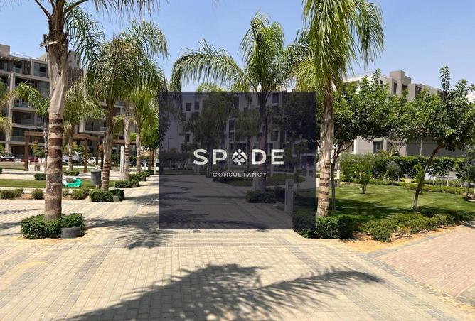 8609830 - Property Image 3