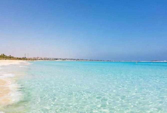 101494936 - صورة العقار 3