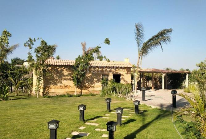 66690877 - Property Image 3