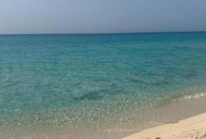 83137306 - صورة العقار 2