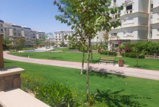 71657896 - Property Image 2