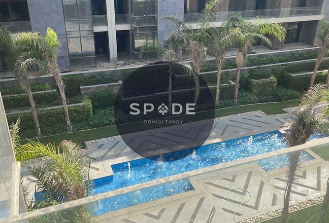 56500561 - Property Image 2