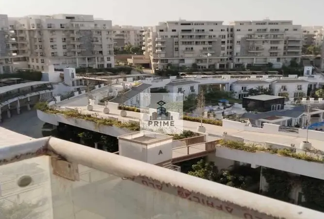 114897425 - Property Image 3