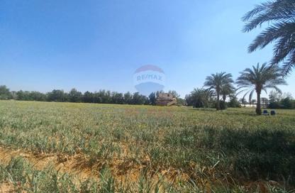 Land - Studio for sale in Ofok - Cairo Alexandria Desert Road - 6 October City - Giza